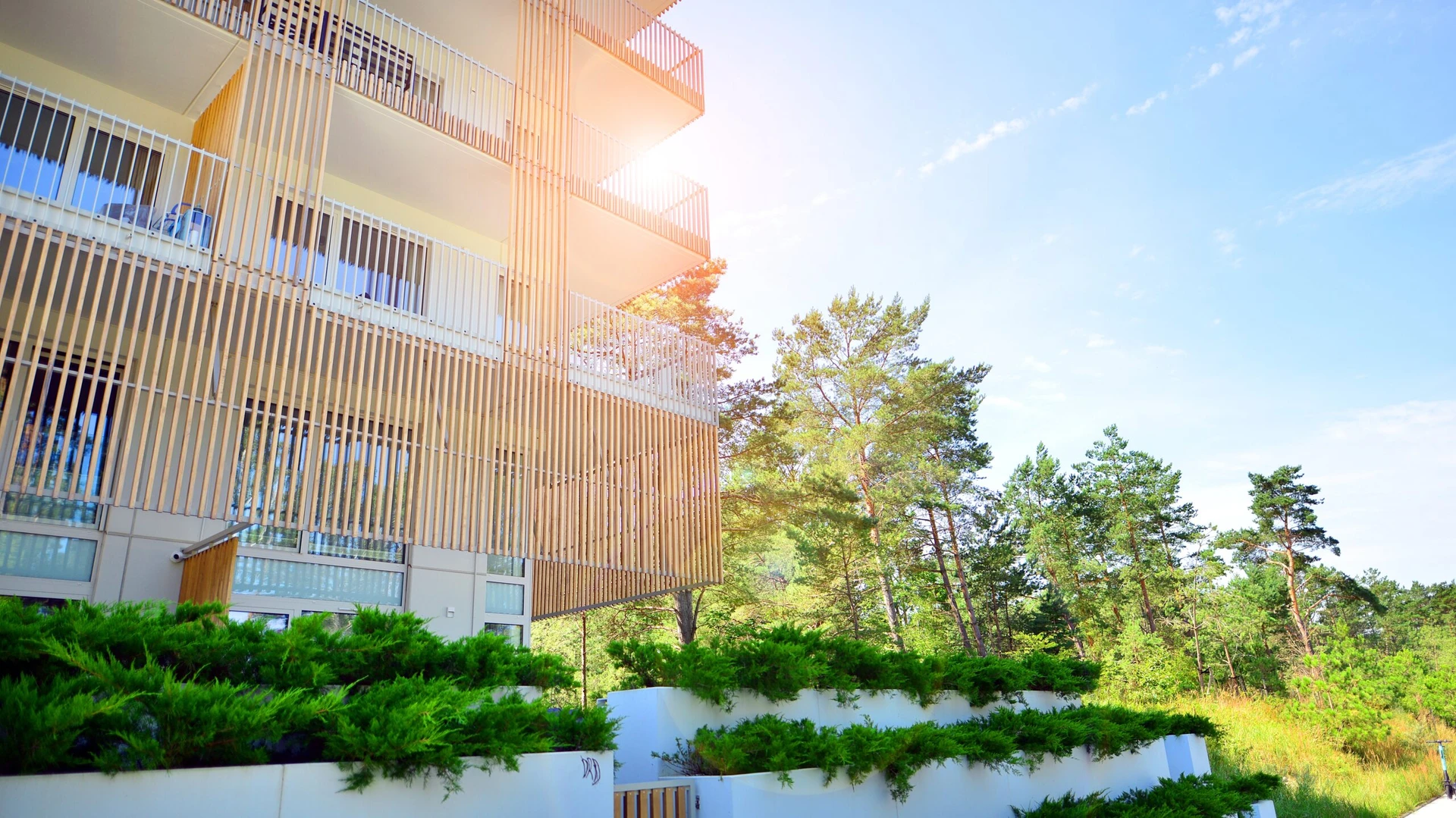 Why Choose Arthian's Ecology team? 