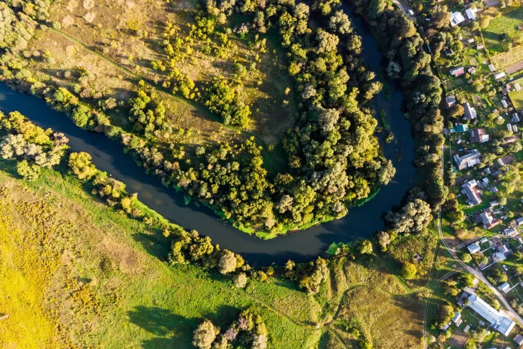 Biodiversity Net Gain