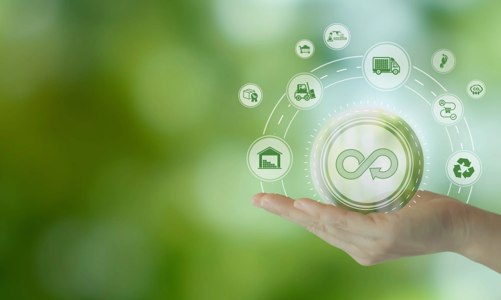 circular economy consultants