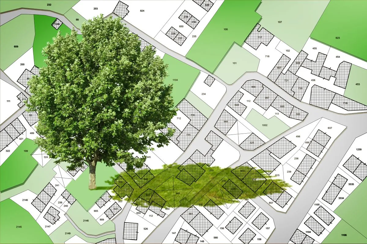 Feasibility Studies & Constraints Analysis