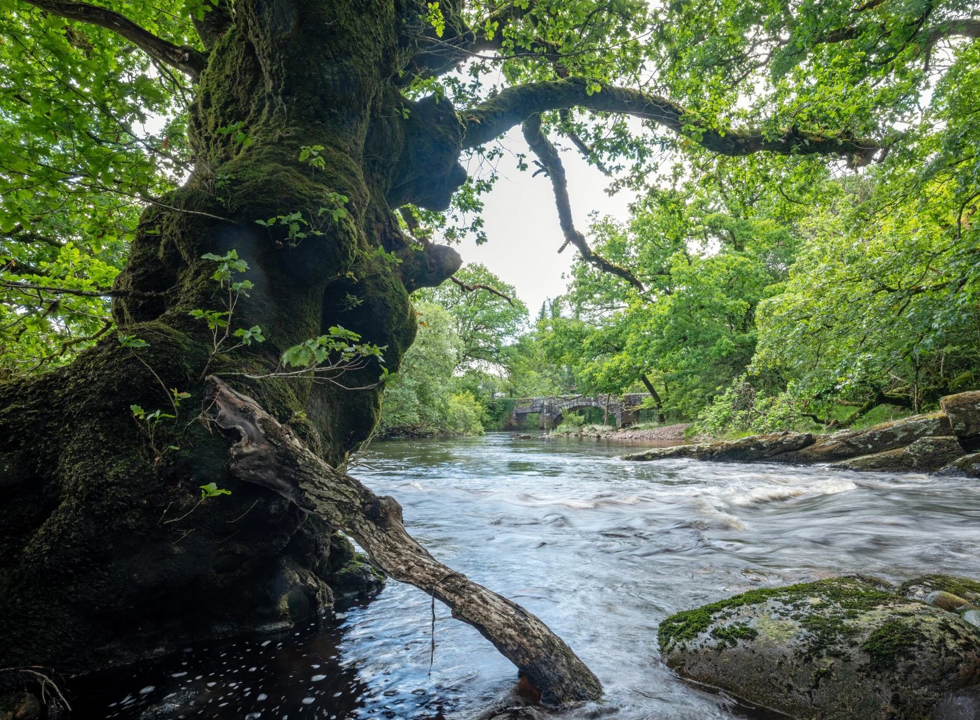 Flood Modelling & Mapping (HEC-RAS, TUFLOW, InfoWorks)