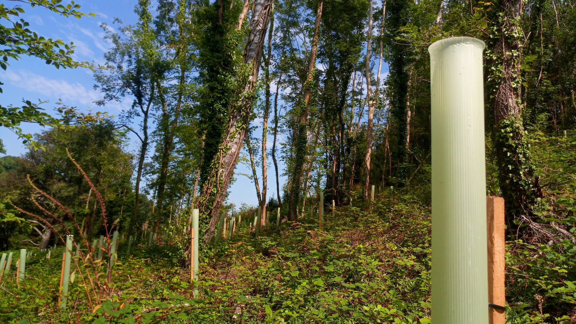 Habitat Management Plan