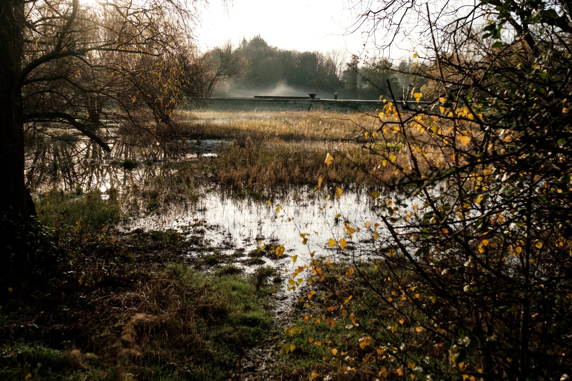 Hydraulic Modelling & Mapping