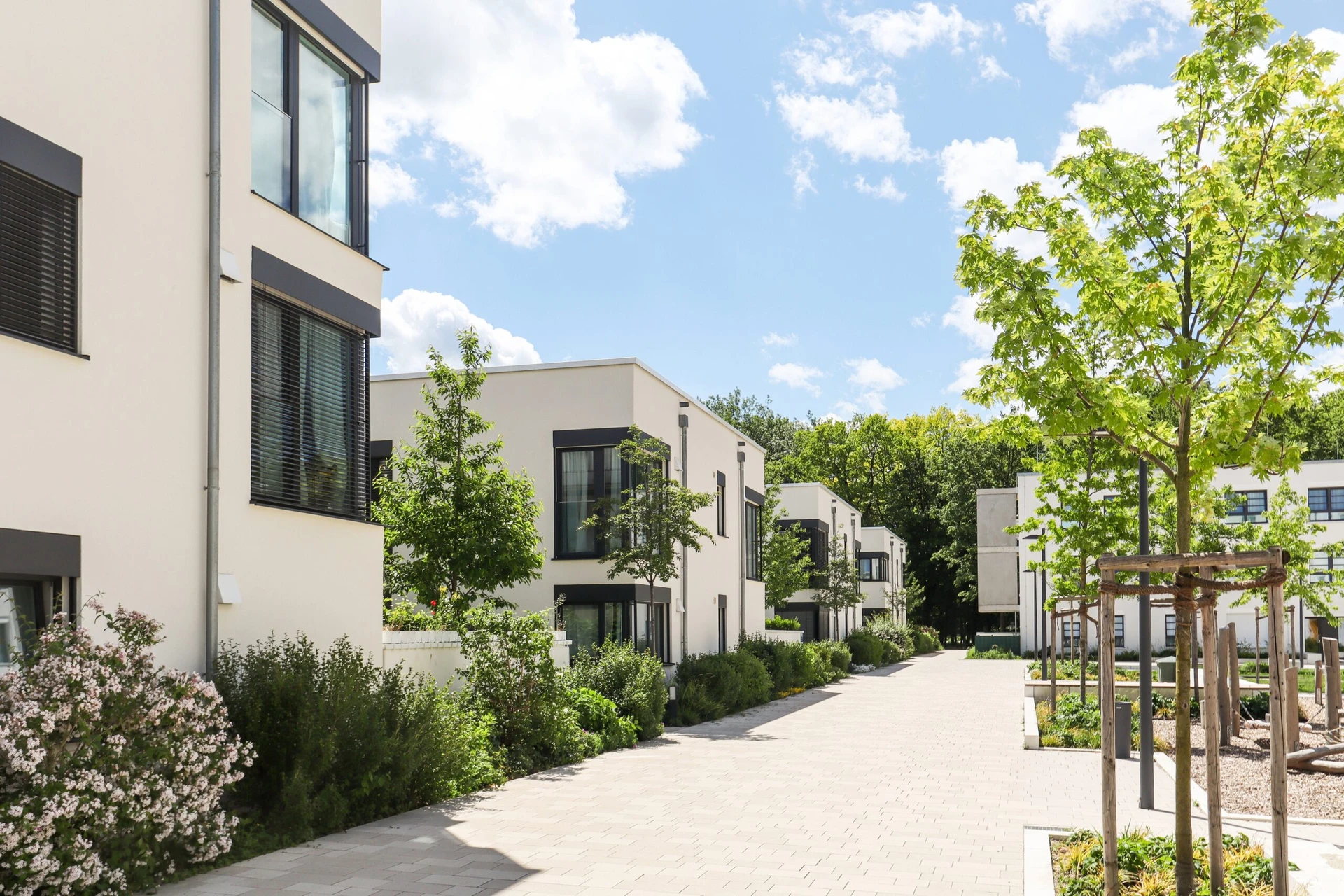 Graphics & Visual Communication