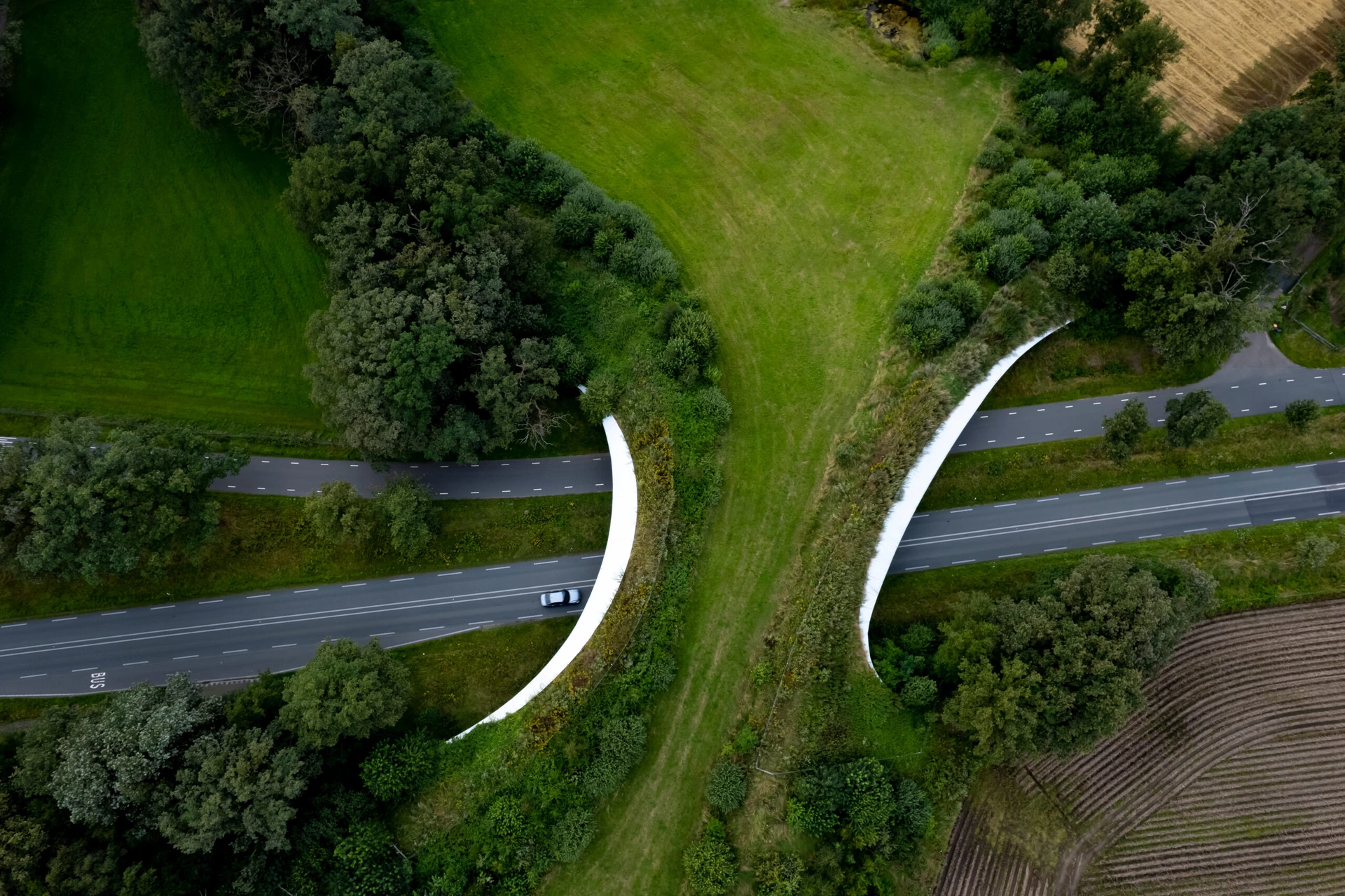 Pre-Planning Support & Assessments